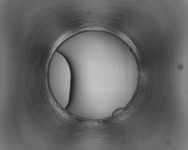 X0000090981002200708021137