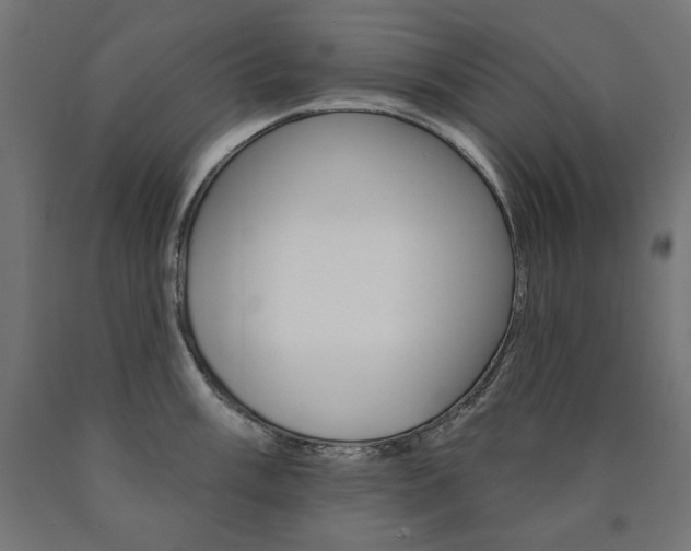 X0000090981003200708021137