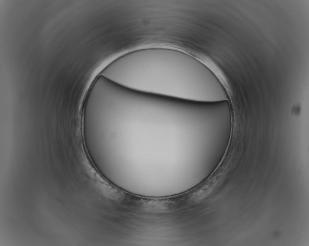 X0000090981004200708021137