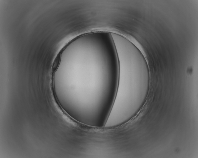 X0000090981005200708021137