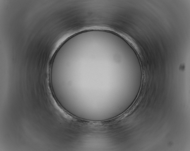 X0000090981006200708021137