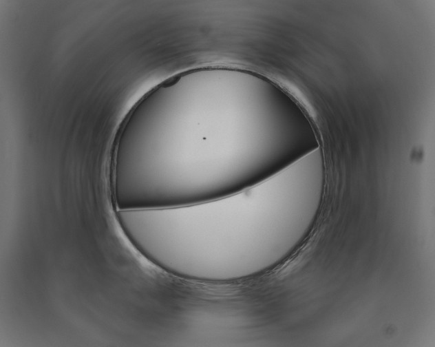 X0000090981007200708021137