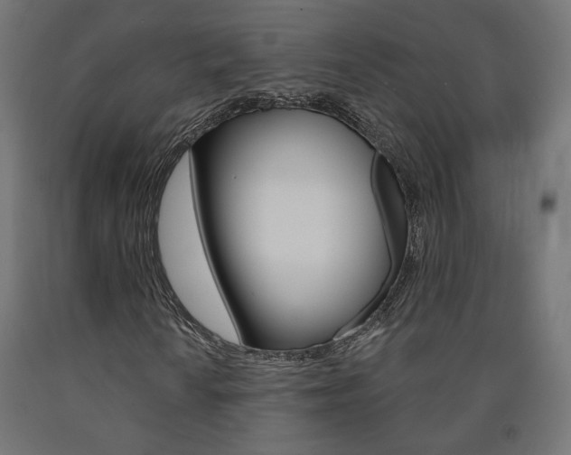 X0000090981010200708021136