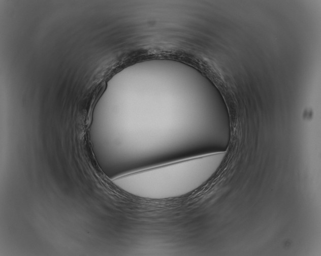 X0000090981012200708021136