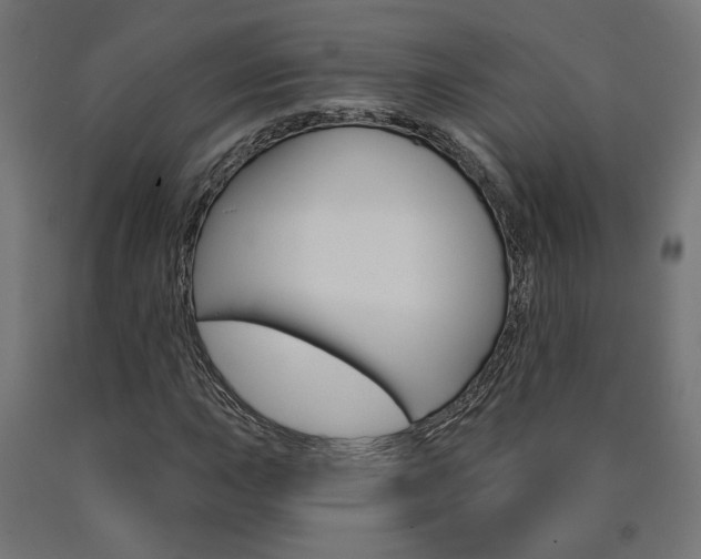 X0000090981015200708021137