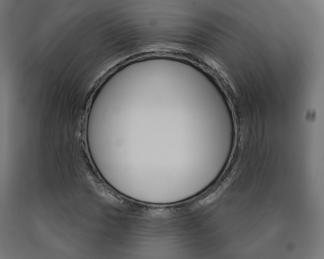 X0000090981017200708021137