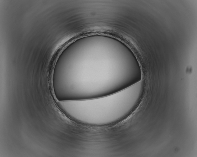 X0000090981018200708021137