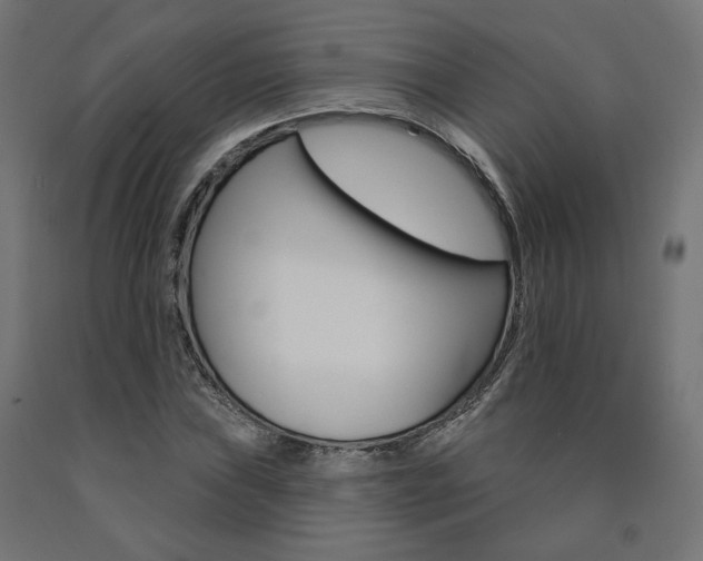 X0000090981019200708021137