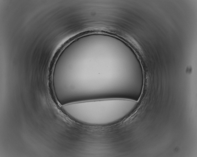 X0000090981020200708021137