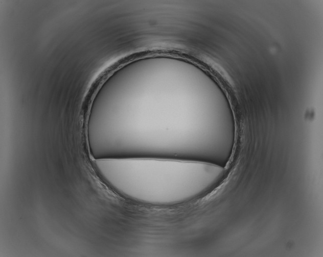 X0000090981021200708021137