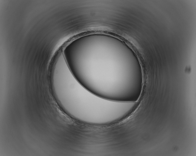X0000090981022200708021137