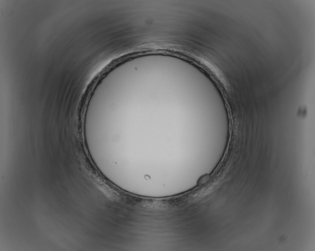 X0000090981023200708021137