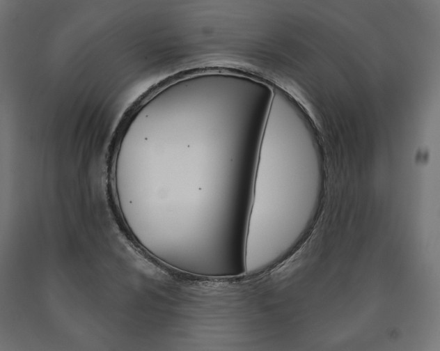 X0000090981024200708021137