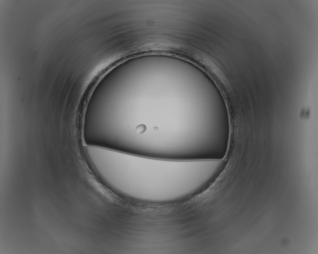 X0000090981026200708021137