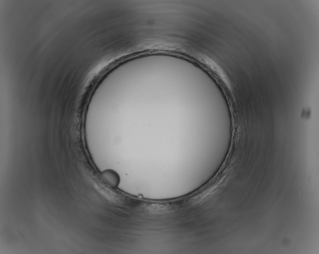 X0000090981027200708021137