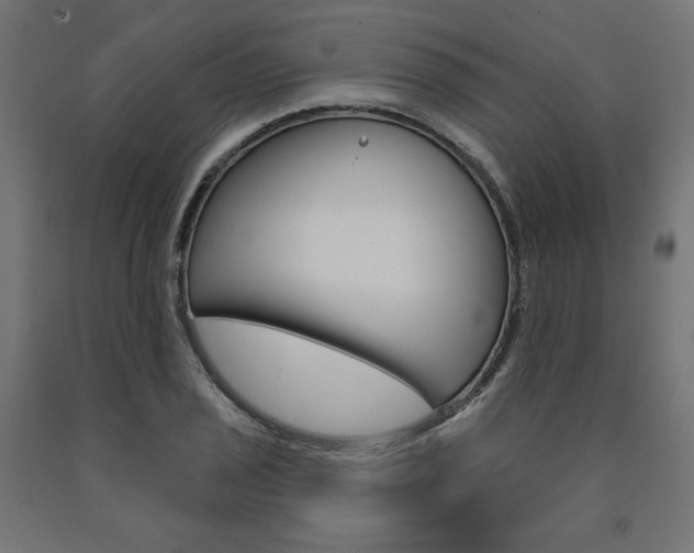 X0000090981029200708021137