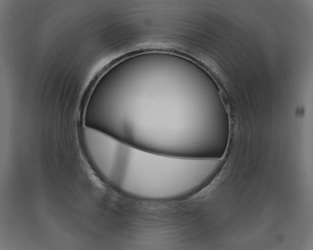 X0000090981030200708021137