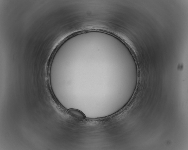 X0000090981031200708021137