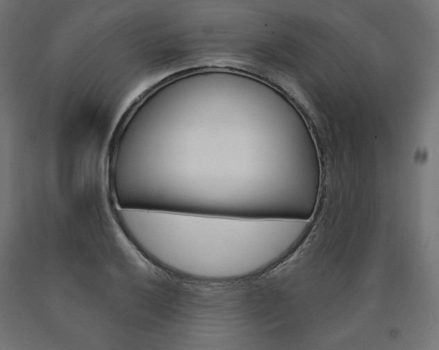 X0000090981032200708021137
