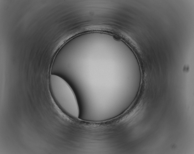 X0000090981033200708021137