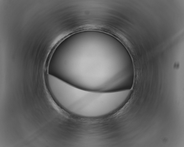 X0000090981034200708021137