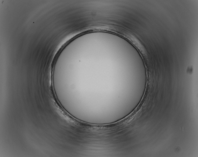 X0000090981036200708021137