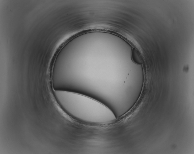 X0000090981037200708021137