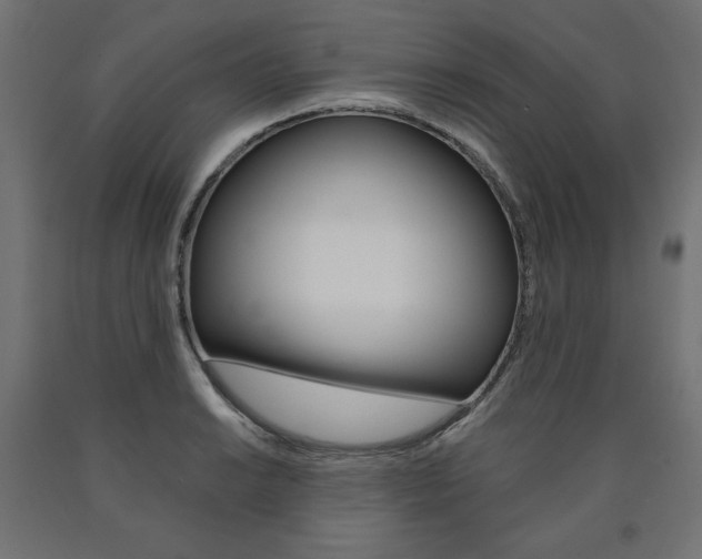 X0000090981038200708021137