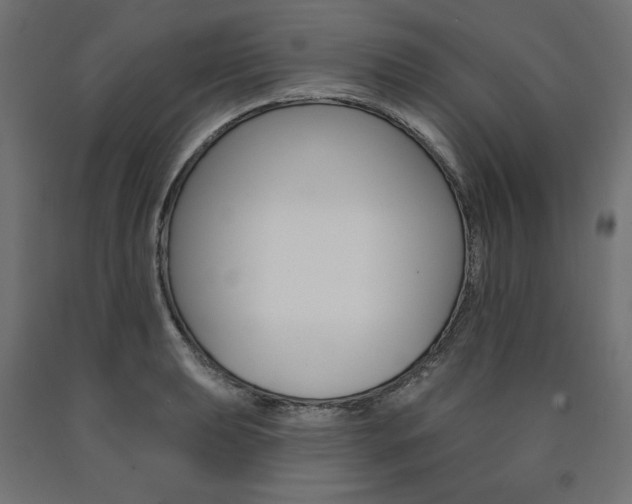 X0000090981039200708021137