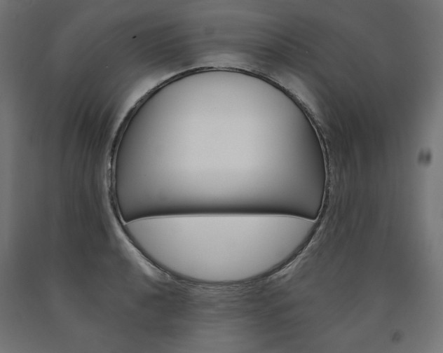 X0000090981040200708021137
