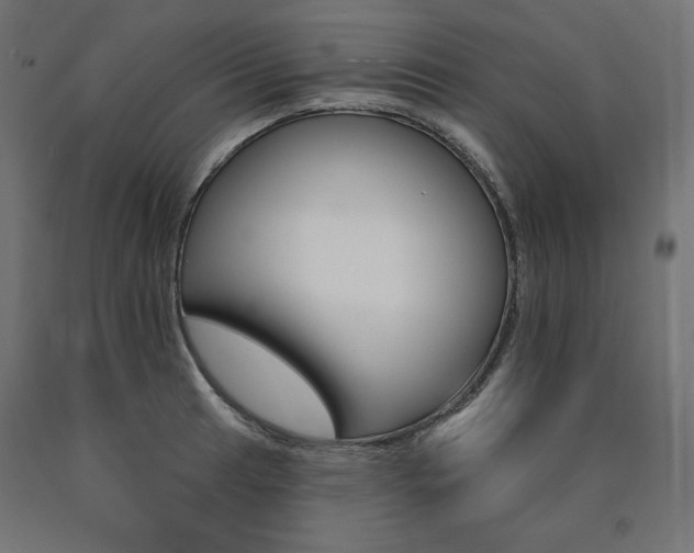 X0000090981041200708021137