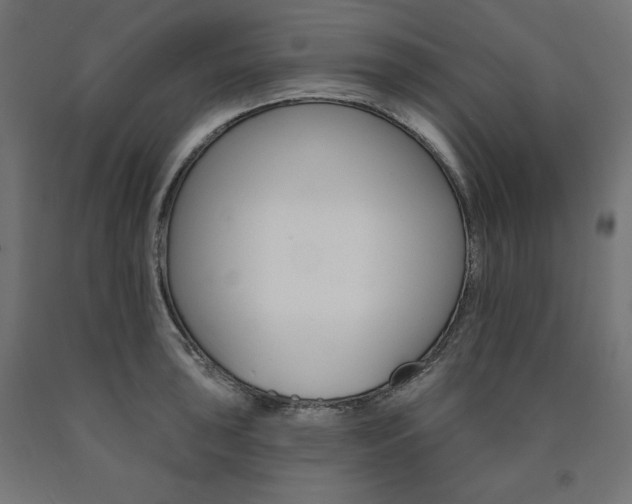 X0000090981043200708021137