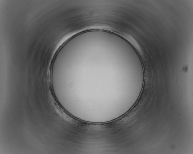 X0000090981044200708021137