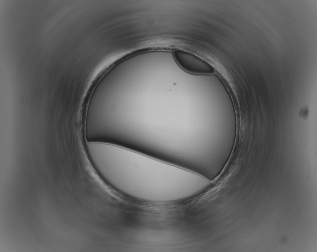 X0000090981045200708021137