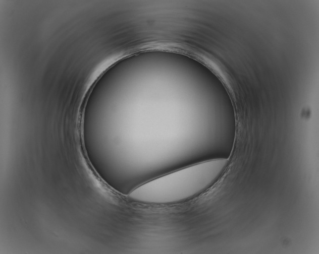 X0000090981050200708021137