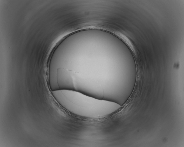 X0000090981051200708021137