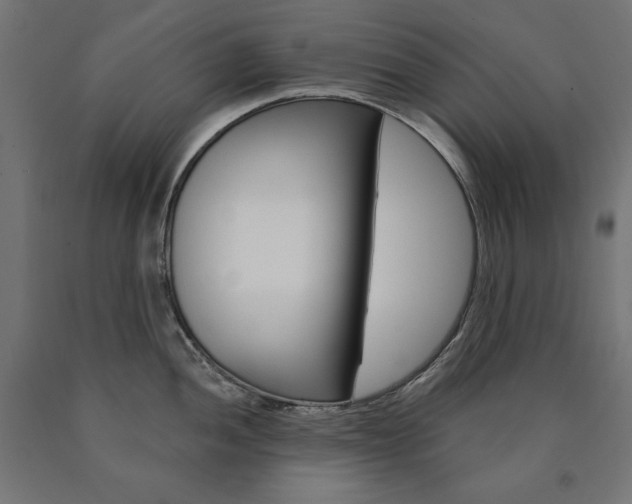 X0000090981052200708021137