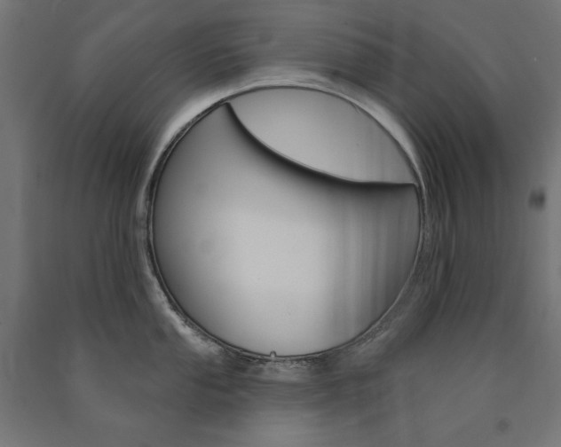 X0000090981053200708021137