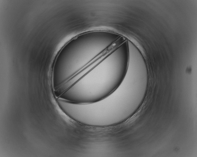 X0000090981054200708021137