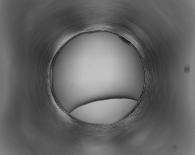 X0000090981055200708021137