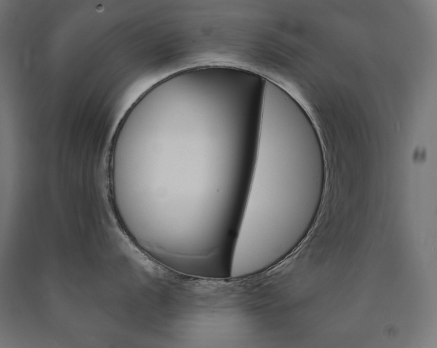 X0000090981056200708021137