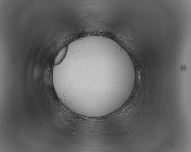 X0000090981059200708021136