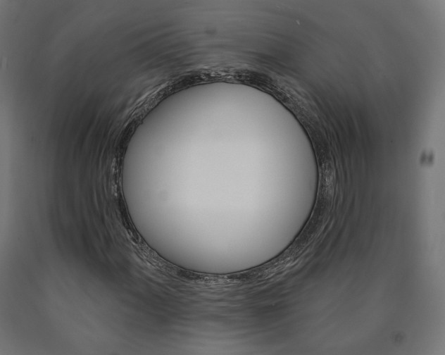 X0000090981060200708021136