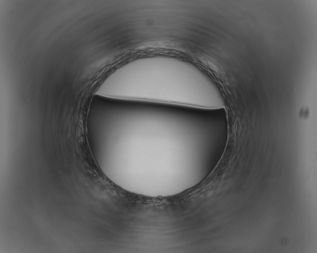 X0000090981062200708021136