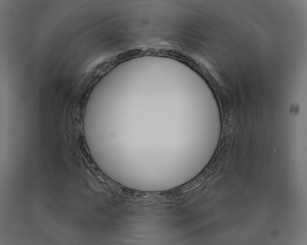 X0000090981063200708021136