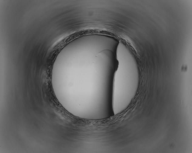 X0000090981064200708021136