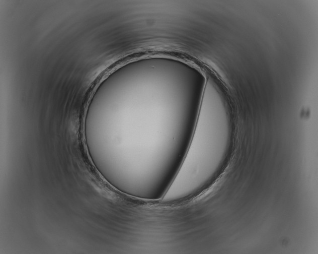 X0000090981065200708021136
