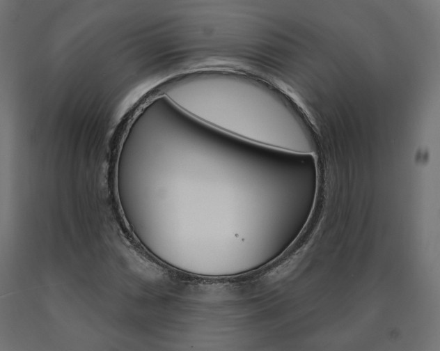 X0000090981066200708021136