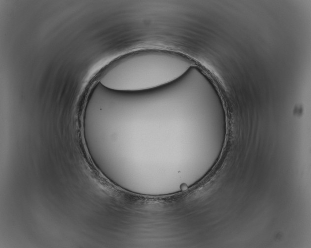 X0000090981070200708021136