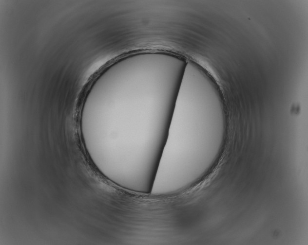 X0000090981071200708021136